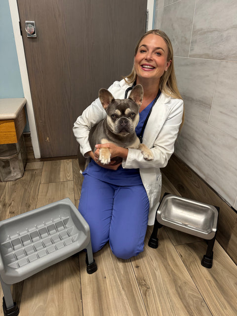 Dr. Lindsay Butzer