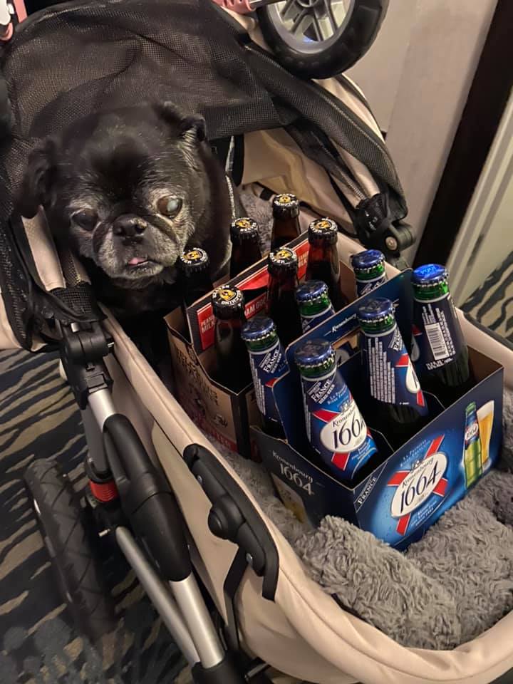 2020 Las Vegas Pug Party