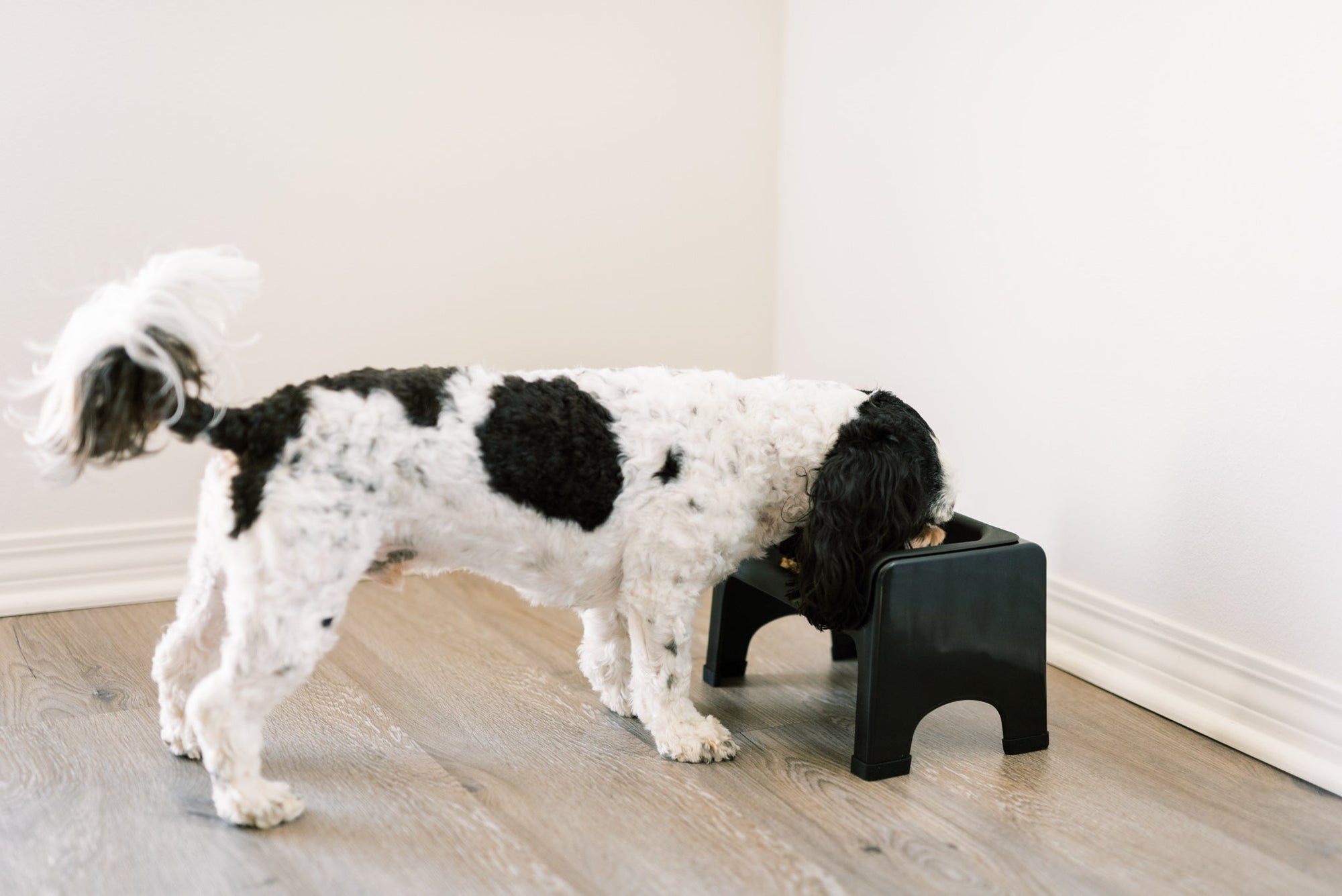 Fluff Trough Pet Feeder