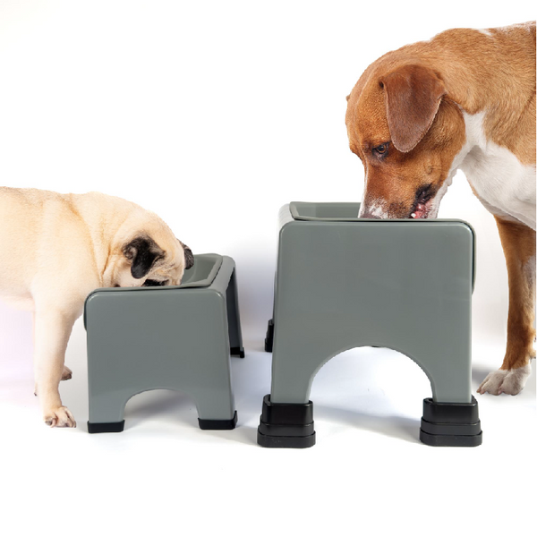 Fluff Trough : Customized Elevated Dog & Cat Bowls – The Pugly Company Inc.