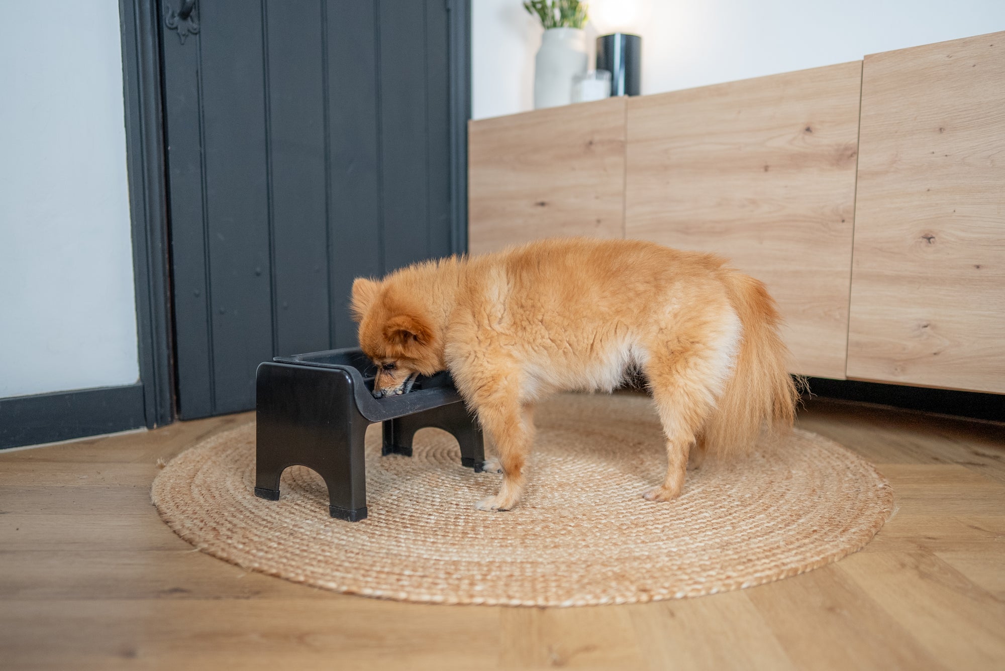 Fluff Trough Binge Blocker Set