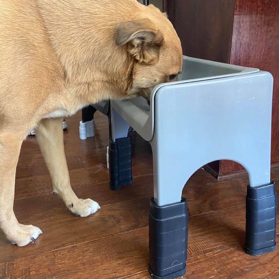 Stackable Fluff Trough Lift Kit – The Pugly Company Inc.