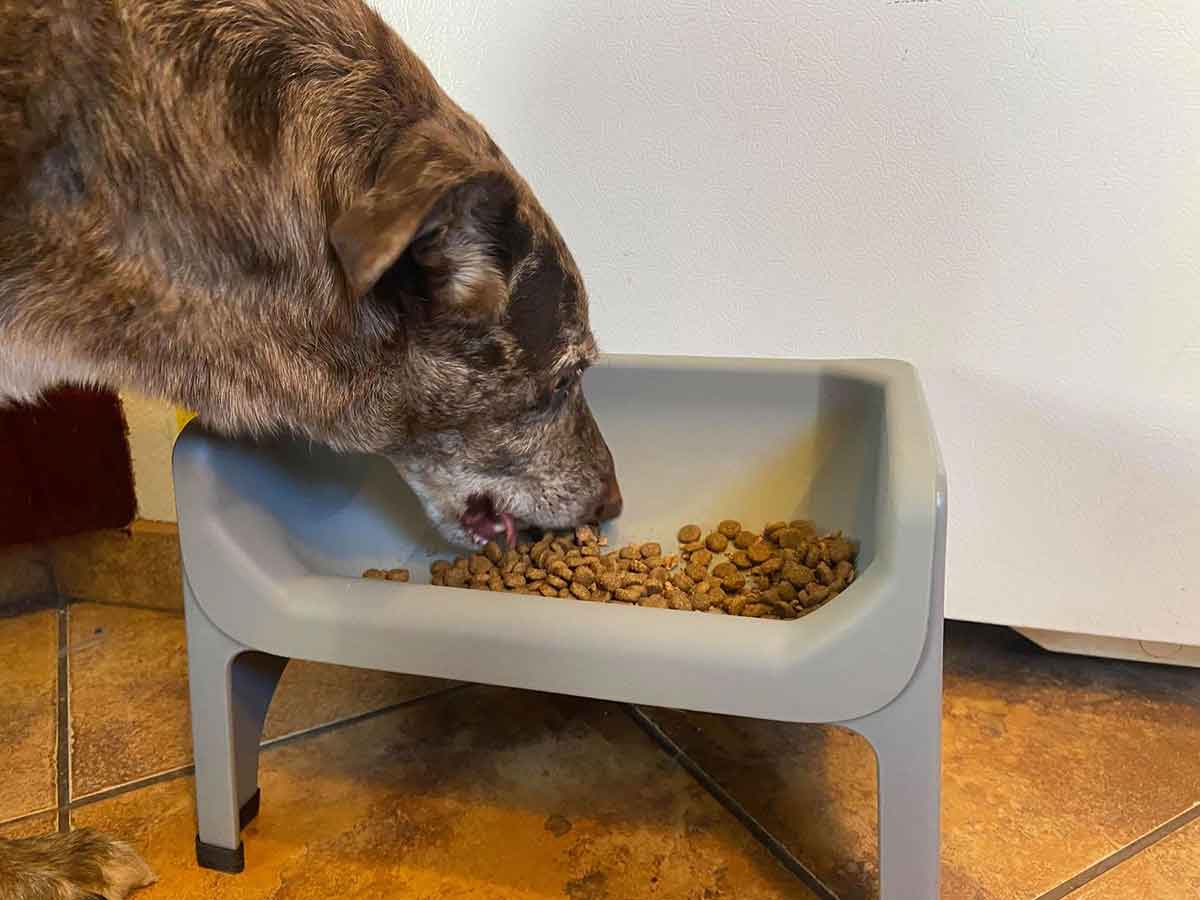 Fluff Trough XL Set : Fluff Trough - Dog Feeding Troughs, Dog Bowls & Accessories